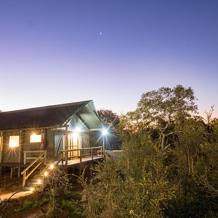 Nkuhlu Tented Camp 스쿠쿠자 외부 사진