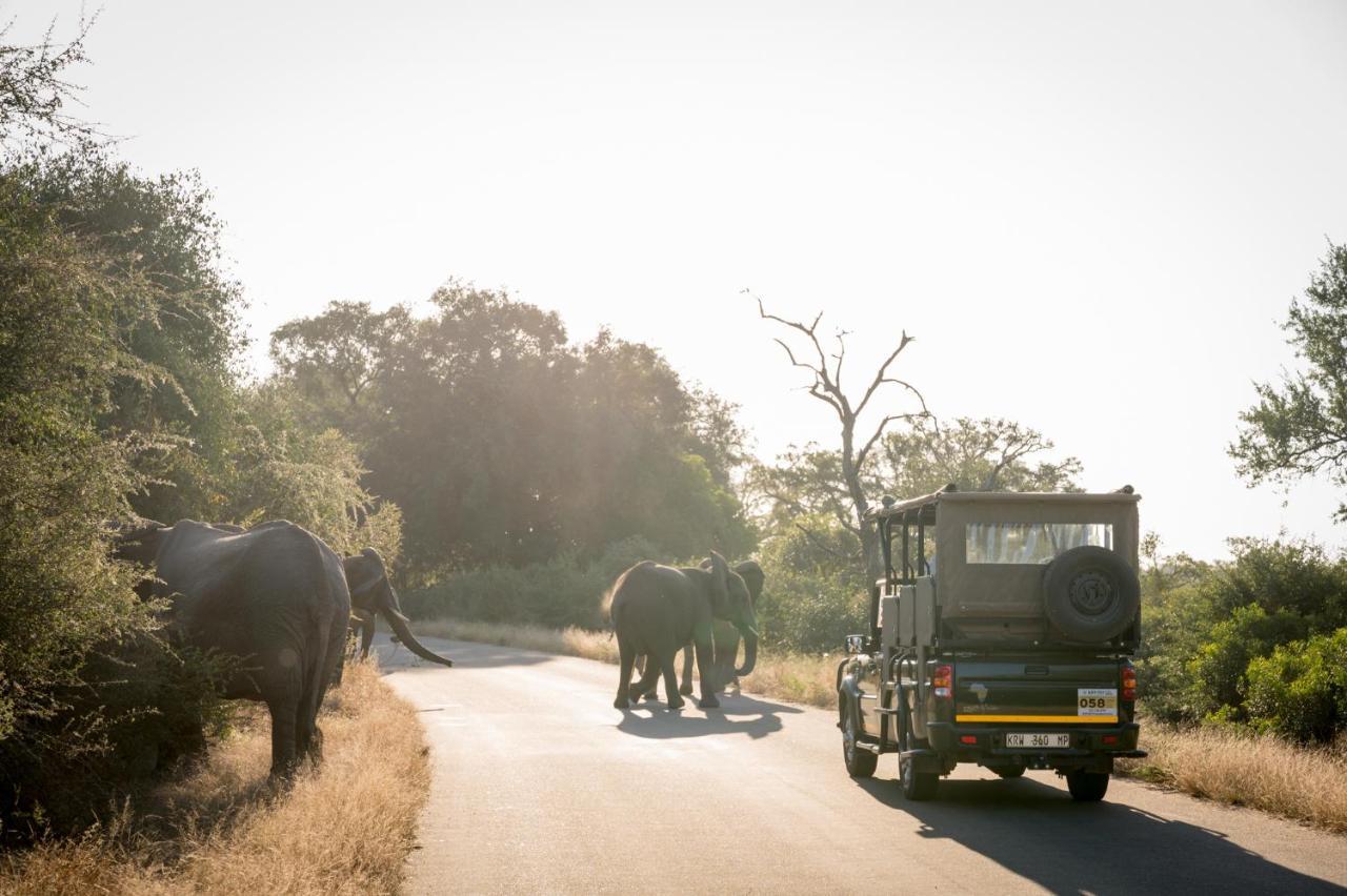 Nkuhlu Tented Camp 스쿠쿠자 외부 사진
