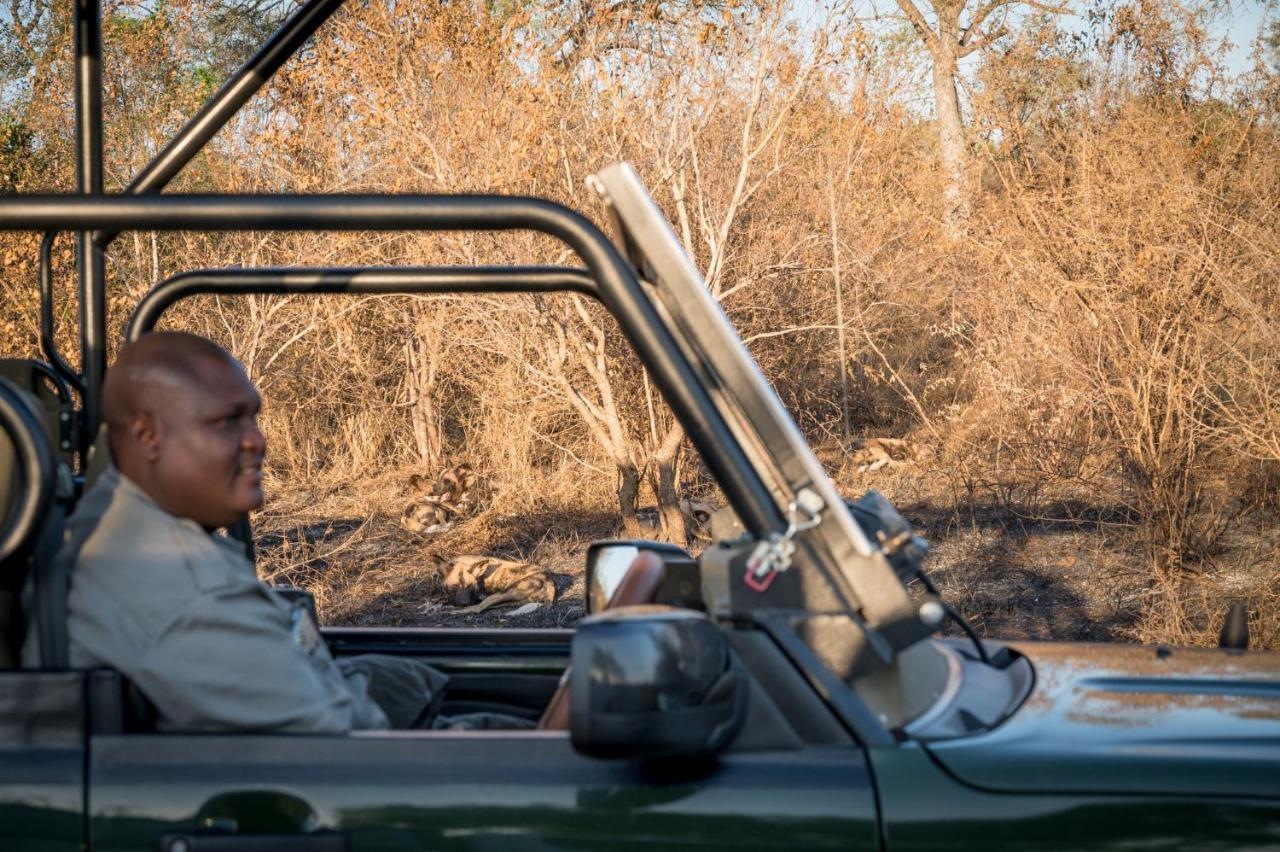 Nkuhlu Tented Camp 스쿠쿠자 외부 사진