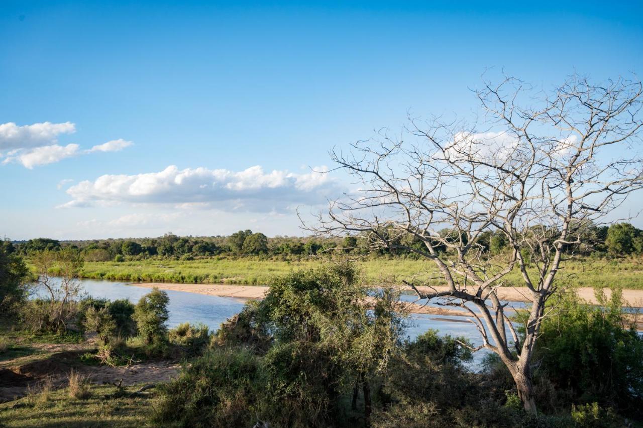 Nkuhlu Tented Camp 스쿠쿠자 외부 사진