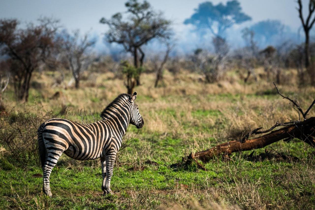 Nkuhlu Tented Camp 스쿠쿠자 외부 사진