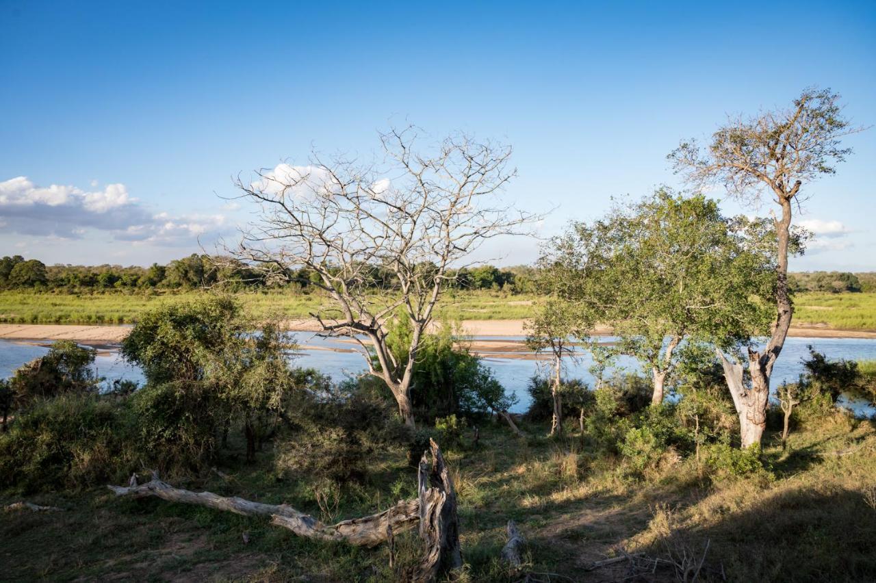 Nkuhlu Tented Camp 스쿠쿠자 외부 사진